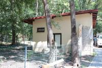 Imagine atasata: tapir-gradina-zoo-timisoara-14.jpg